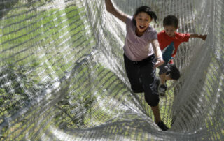 Accroche toi aux branches