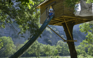 Accroche toi aux branches