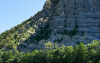 Accroche toi aux branches
