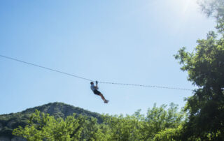 Accroche toi aux branches