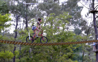 Accroche toi aux branches