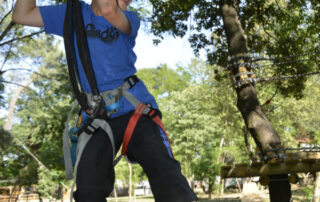 Accroche toi aux branches