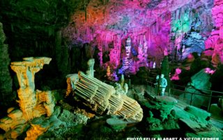 Grotte de la Salamandre Grotte de la Salamandre