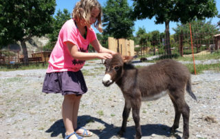 Parc animalier de Lussas Parc animalier de Lussas