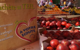 Local Market Local Market