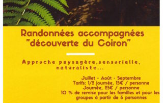 Randonnées accompagnées « Descente de la Louyre » avec Nature en Chemin Randonnées accompagnées « Descente de la Louyre » avec Nature en Chemin