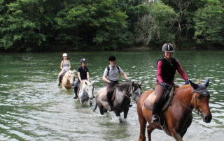 Guided Hike on horseback - Equitation Chavetourte