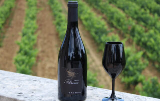 Visit and tasting