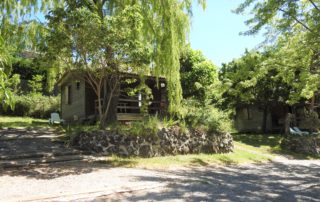 Camping les Lavandes - Darbres