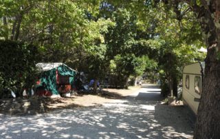 Camping les Lavandes - Darbres