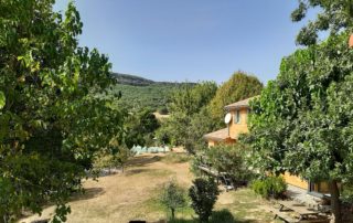 Ardelyne Ardelyne