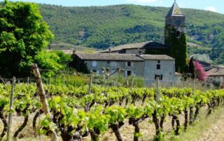 Visite du Caveau des vignerons de Valvignères