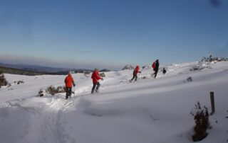 Sorties raquettes avec Ardèche Randonnées