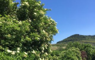 Villeneuve de Berg aux portes de la nature