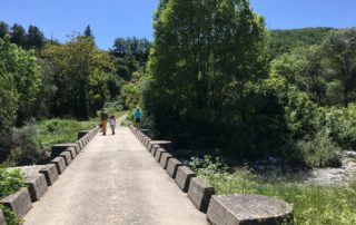 Marche au départ de St Maurice d'Ibie