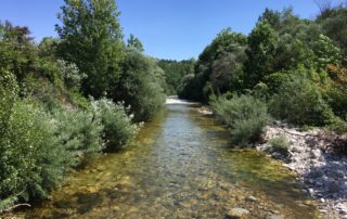 Rivière Ibie au bord de St Maurice d'Ibie