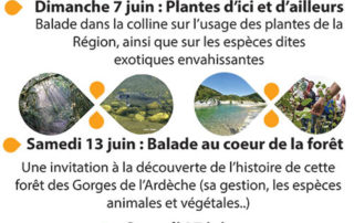 Promenade dans le village: « L’Ibie, une rivière et des hommes » Promenade dans le village: « L’Ibie, une rivière et des hommes »