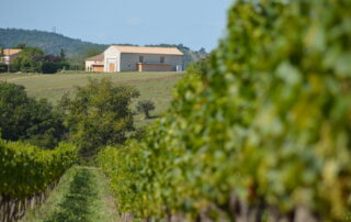 Domaine Arsac - La Chaumette - St Jean le Centenier