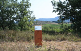 Balade dans les vignes au Château de la Selve