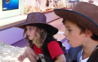 Muséum de l’Ardèche : fossiles et dinosaures Muséum de l’Ardèche : fossiles et dinosaures