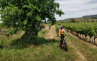 La Selve à Trotinette