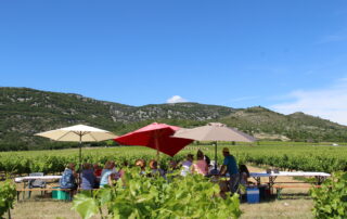 Pique-nique chez le vigneron indépendant : Clos de l’Abbé Dubois Pique-nique chez le vigneron indépendant : Clos de l’Abbé Dubois