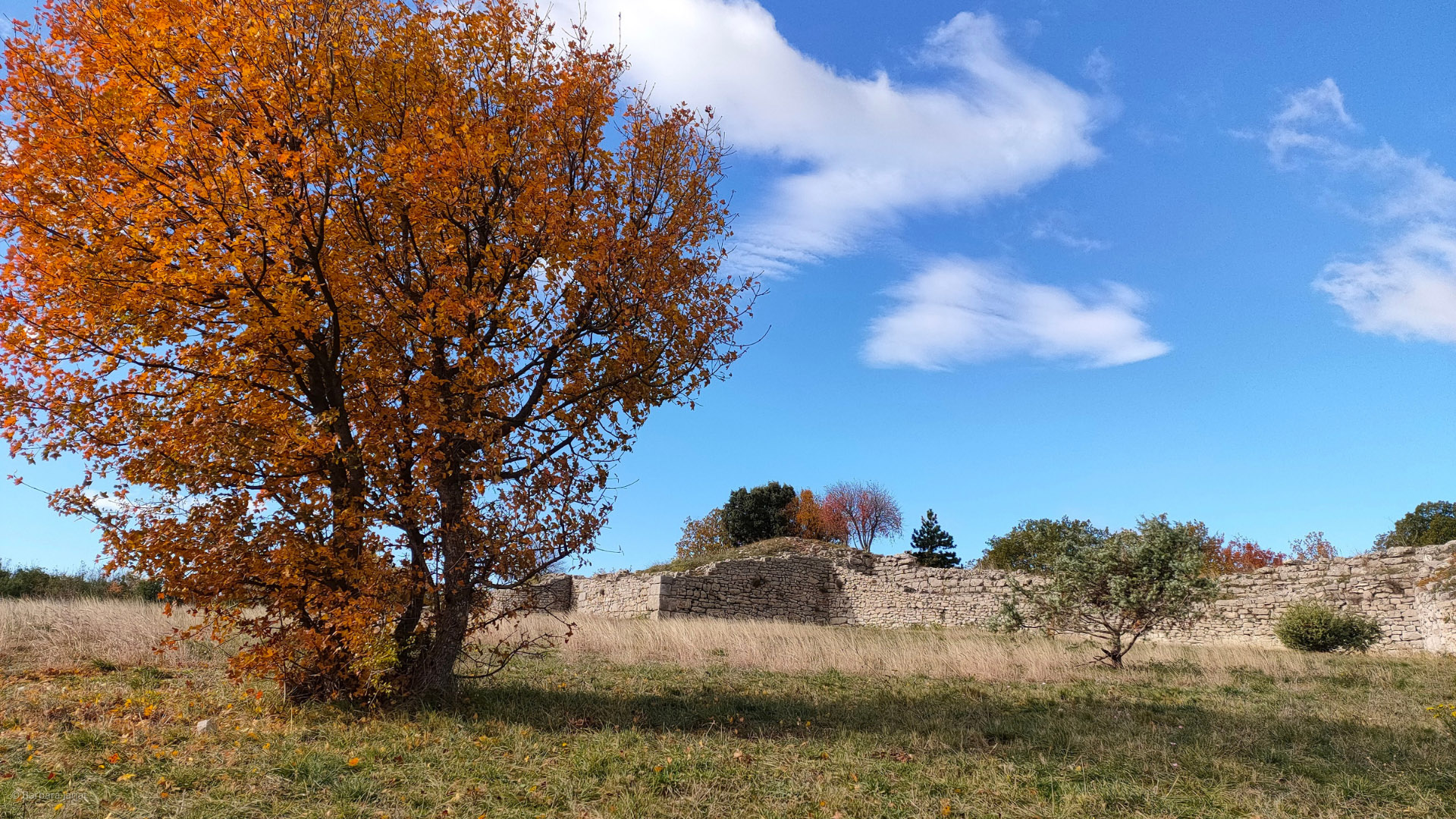 Oppidum de Jastres à Lussas