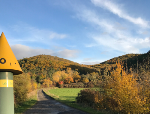 Top de nos pépites locales à découvrir en Ardèche cet automne