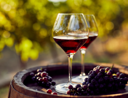 Vignobles en Scène 2025 en Ardèche