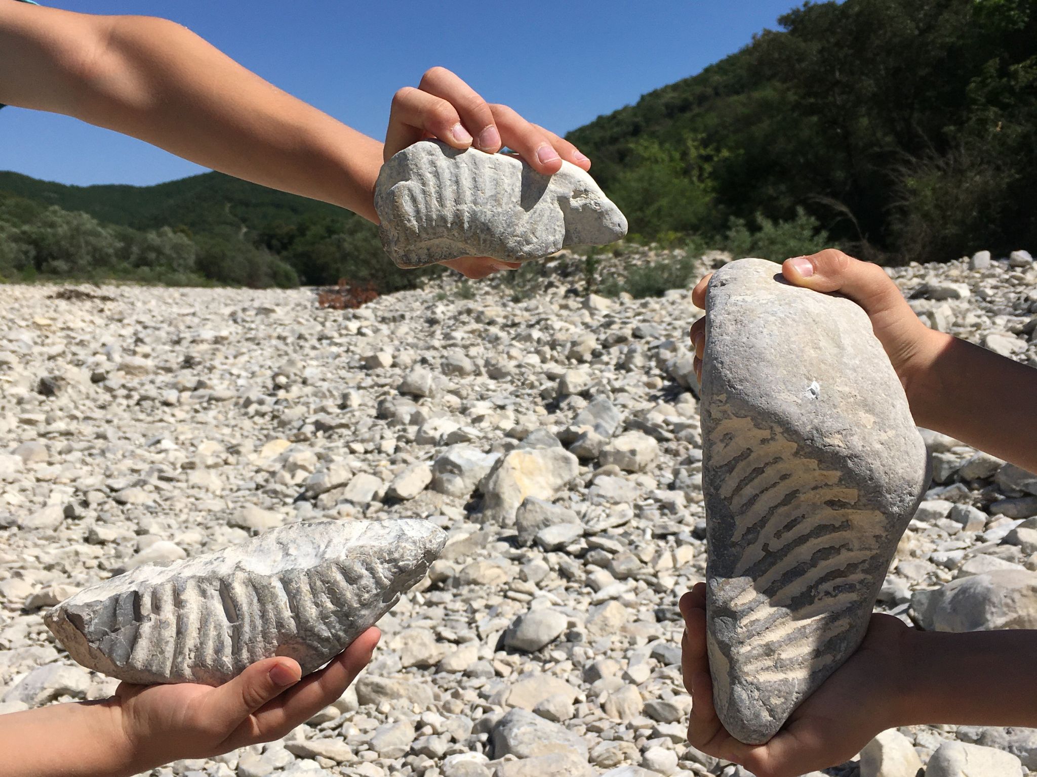 Vallée de l’Ibie vallée de l'ibie, berg er coiron ardeche