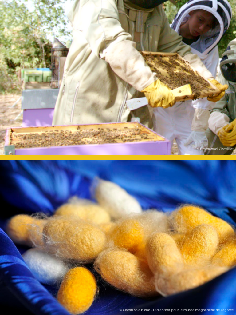 Vacances de Paques monde des insectes