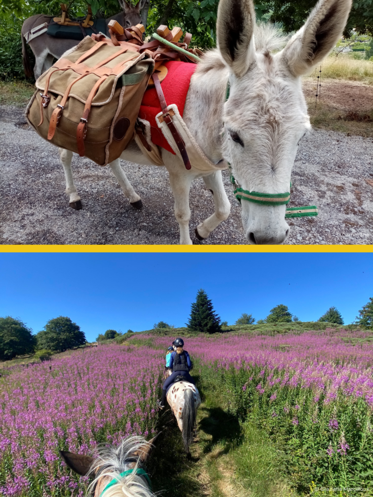 Vacances de Paques balade animaux